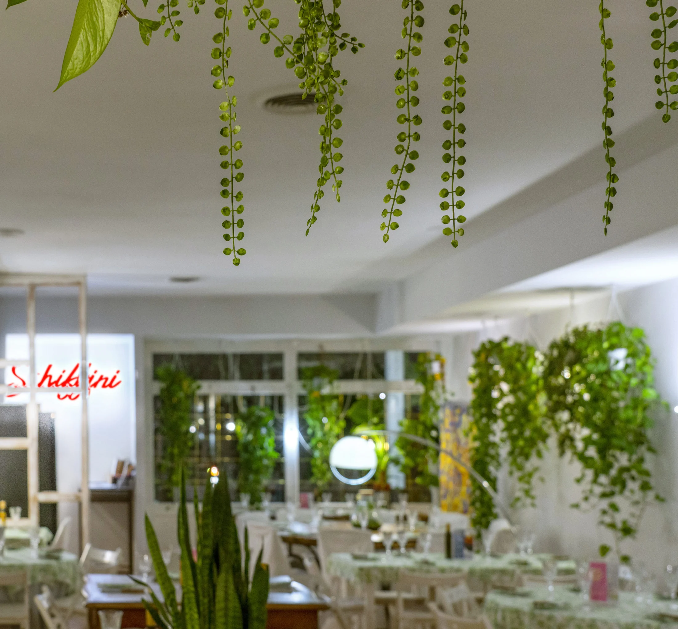 Sala luminosa del ristorante con piante sospese